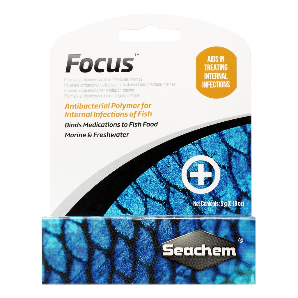 Focus
